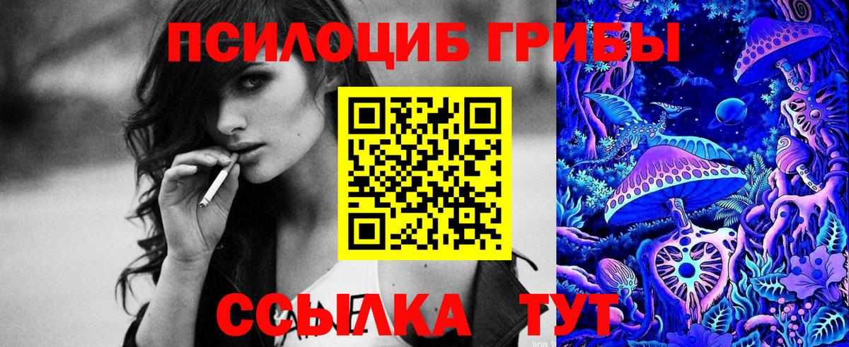 Псилоцибиновые грибы GOLDEN TEACHER Печора